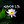 Kiyoshi_Life - Original Poster, Most Recent Poster